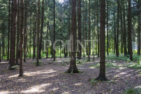 Фонд Развития Международного Университета Фонд Развития Международного Университета