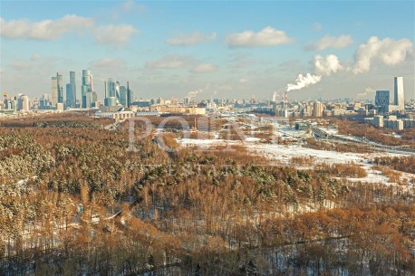 Кутузовская Ривьера Кутузовская Ривьера