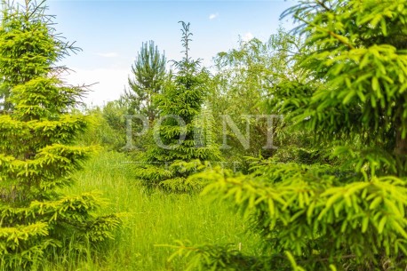 Agalarov Estate (Агаларов Эстейт) Agalarov Estate (Агаларов Эстейт)